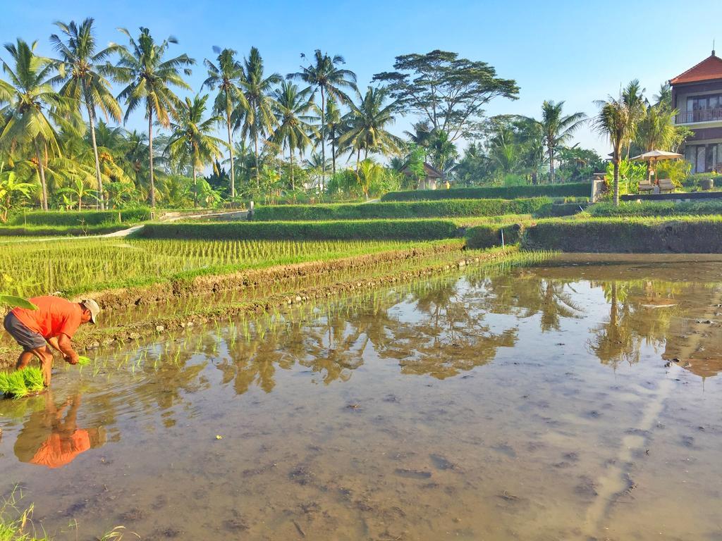 The Suris Ubud Exterior photo